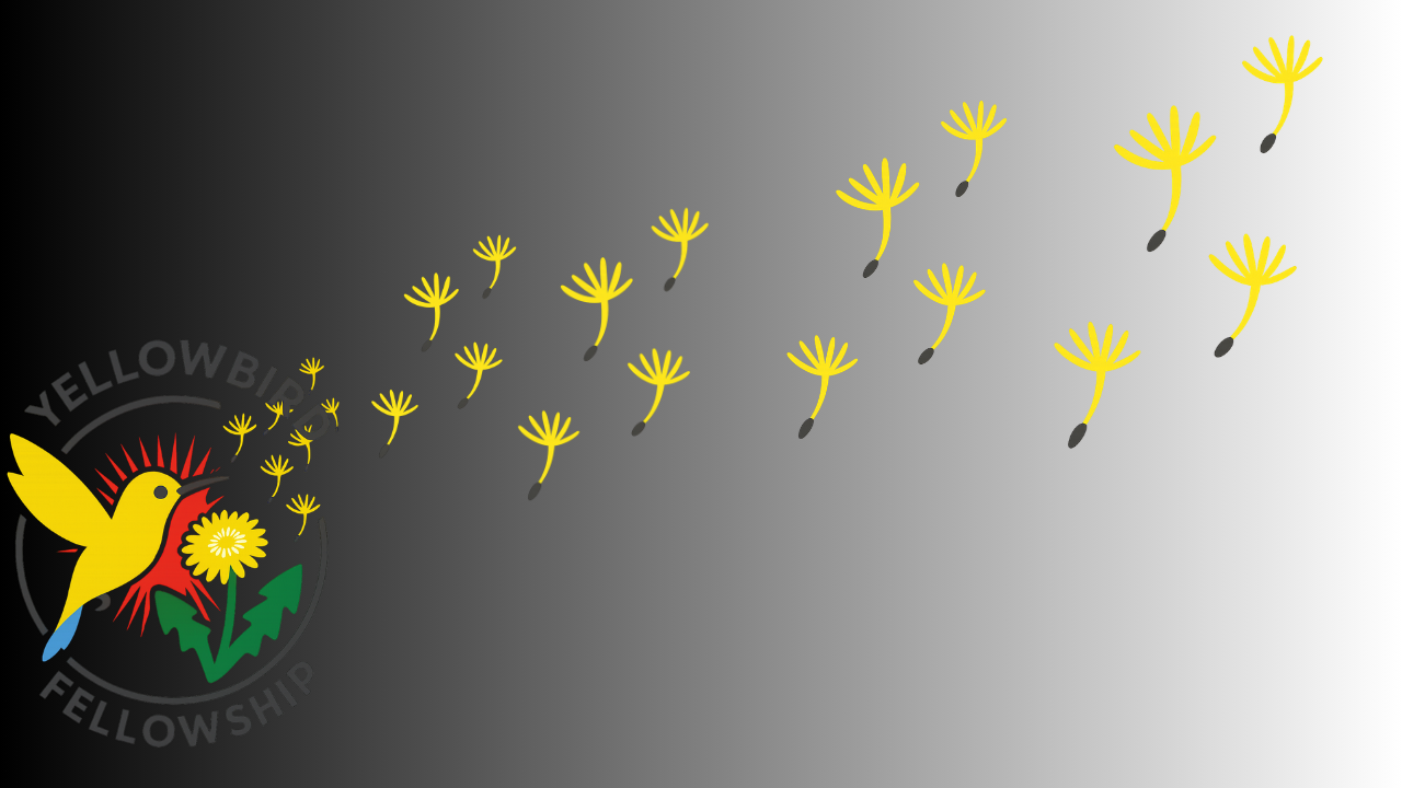 Celebrating the Yellowbird Fellows